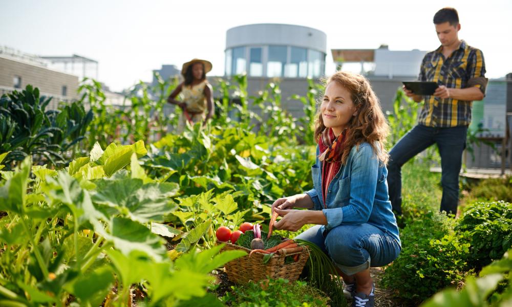 Food Tank Highlights Young Leaders
in the Food System